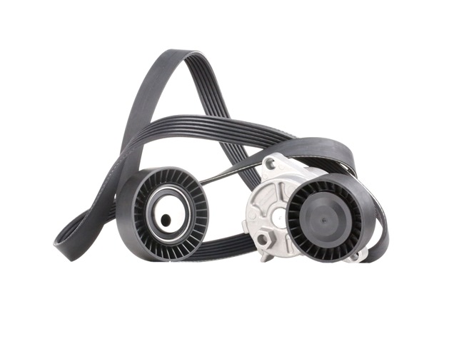 RIDEX 542R0198 Calidad y precios justos