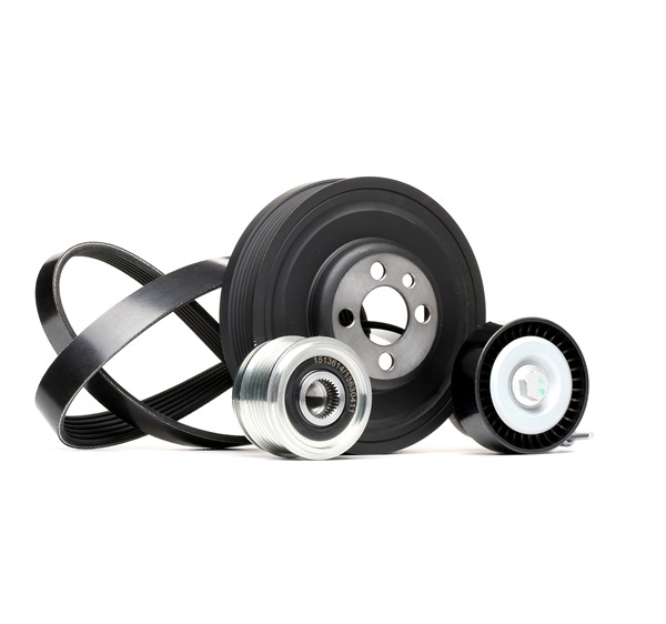 RIDEX 542R0203 Keilrippenriemensatz Passat B6 Variant 1.6 TDI 105 PS Diesel 2009