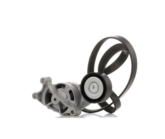 RIDEX 542R0211 Multiriem set Audi A1 8x 2.0 TFSI quattro 256 Pk Benzine 2012