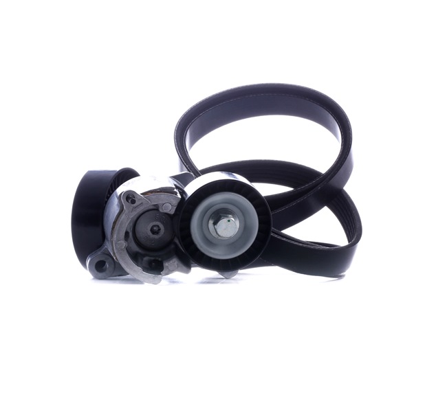 RIDEX 542R0214 poly v-riem set 9636207480