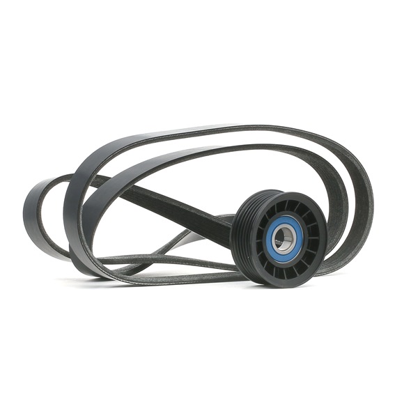 RIDEX 542R0217 Cinghia servizi Ford C-Max DM2 2.0 LPG 145 CV Benzina/Gasauto (GPL) 2008
