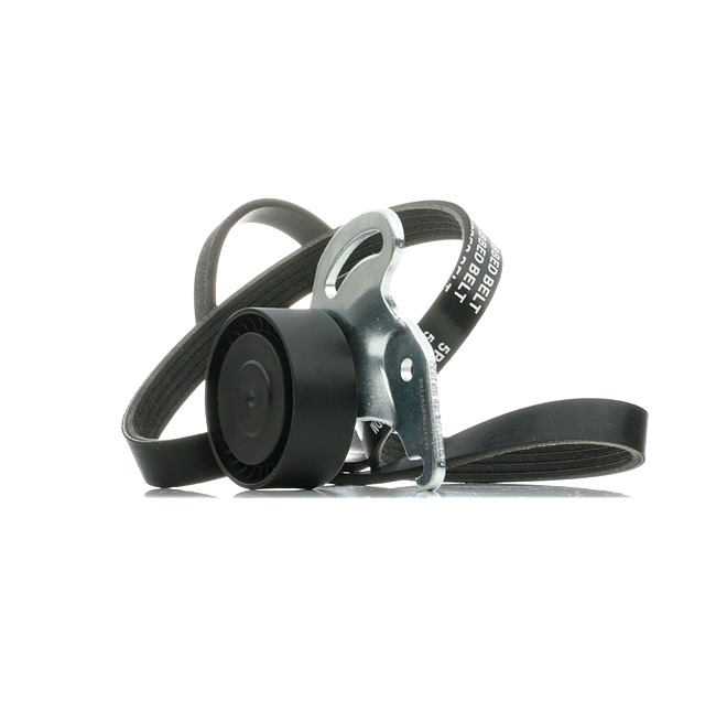 RIDEX 542R0231 Multiriem set RENAULT Megane II Sedan (LM) 1.5 dCi (LM1F) 86 Pk Diesel 2010
