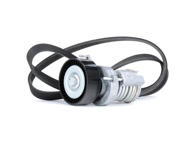 RIDEX 030145299C Moniurahihnasarja 542R0248
