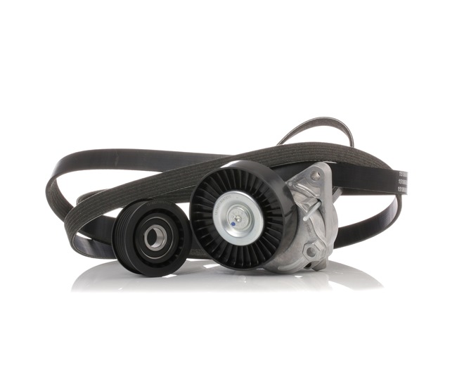 RIDEX 542R0252 poly v-riem set A112 200 01 70