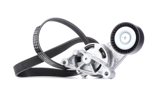 RIDEX 542R0256 multiriem set Seat Altea XL 2.0 TDI 136 Pk Diesel 2009