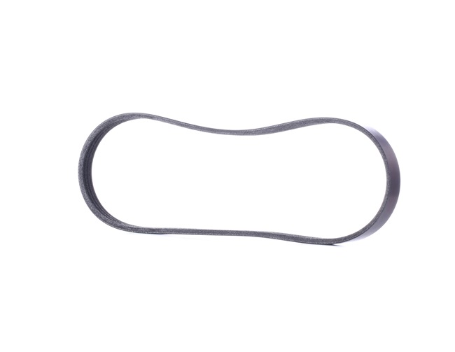 RIDEX 305P0414 multiriem 7809801