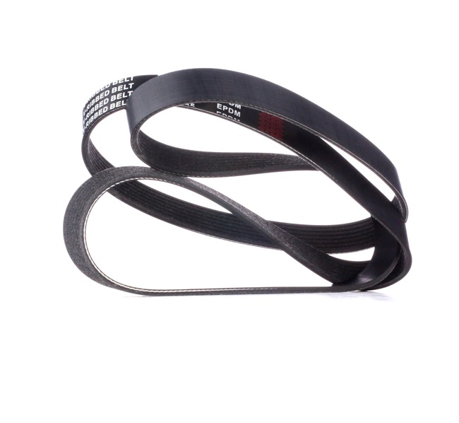 RIDEX 305P0416 multiriem 809225020