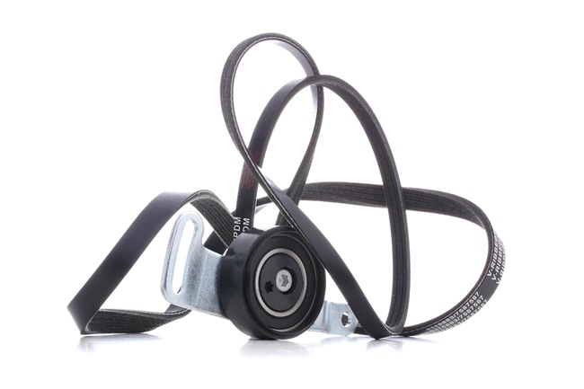 STARK SKRBS-1200275 Kit de courroie d'accessoire Smart Roadster Coupe 452 0.7 (452.334) 82 CV Essence 2005
