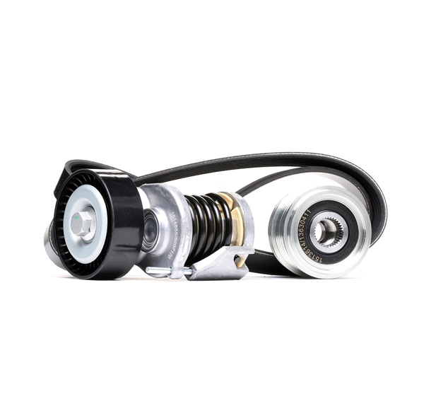 RIDEX 542R0280 Keilrippenriemensatz Passat B6 Variant 2.0 BlueTDI 143 PS Diesel 2010