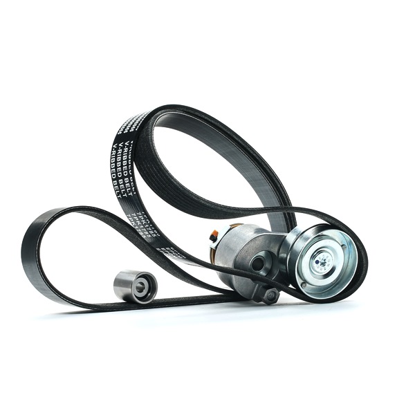 RIDEX 542R0285 Multiriem set Renault Espace JK 1.9 dCi 120 Pk Diesel 2020