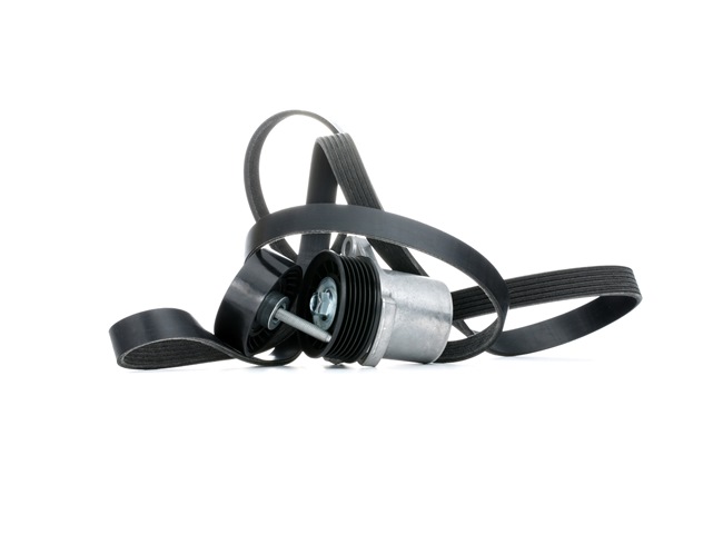 RIDEX 542R0286 Ιμάντας poly-V Ford S Max Mk1 2.0 Flexifuel 145 PS Βενζίνη/αιθανόλη 2010