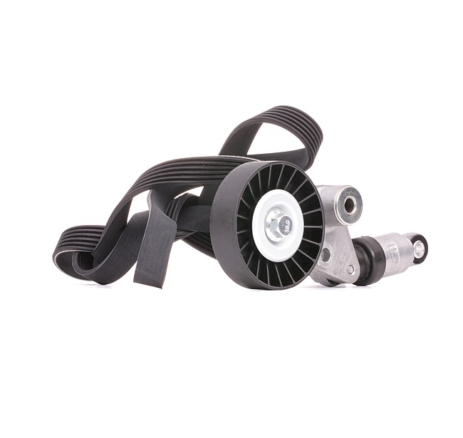 RIDEX 542R0287 Multiriem set Opel Astra G CC 2.0 DTI 16V (F08, F48) 101 Pk Diesel 2005