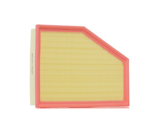 RIDEX 8A0874 Luftfilter BMW G30
