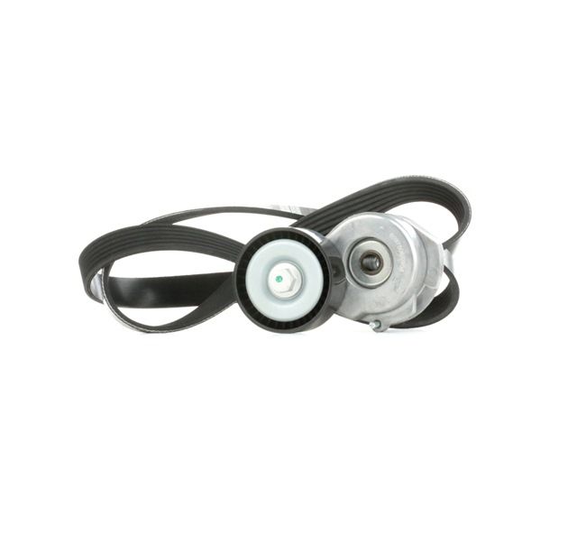 RIDEX 542R0299 Σετ ιμάντων poly-v Corsa C X01 1.3 CDTI 16V (F08, F68) 69 PS Πετρέλαιο 2003