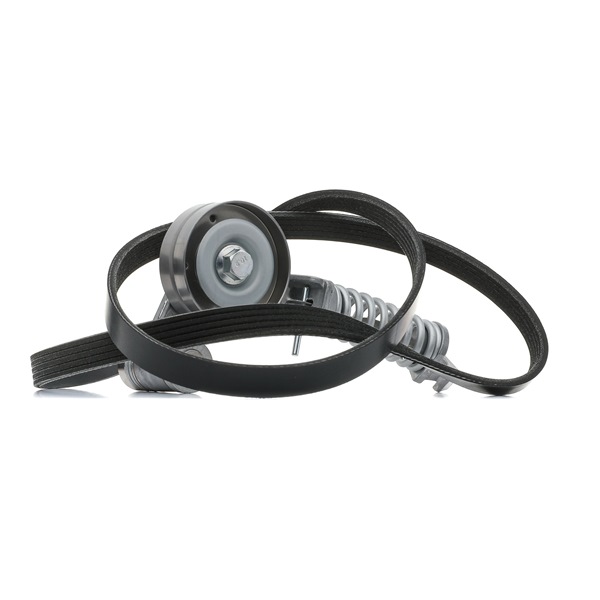 RIDEX 542R0313 poly v-riem set 1340-018