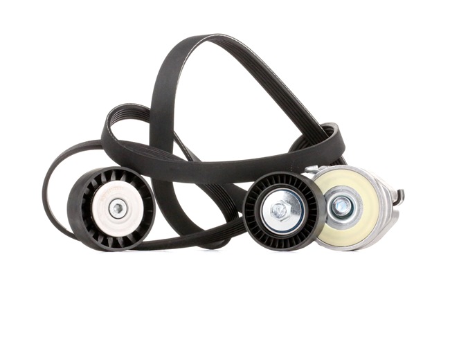 RIDEX 542R0316 Multiriem set FIAT Ducato III Flatbed Vrachtwagen / Chassis (250, 290) 2.0 D 115 Multijet 116 Pk Diesel 2021