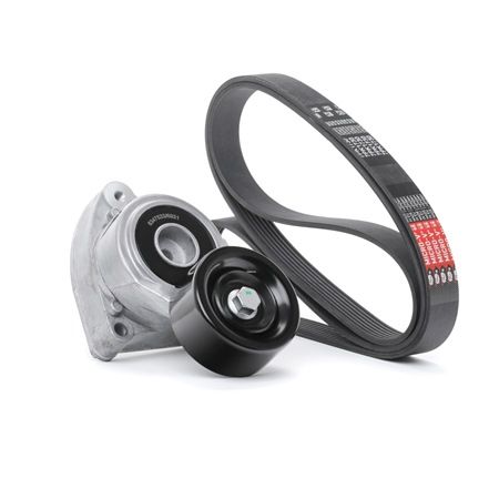 RIDEX 542R0324 V formos rumbuoti diržai HONDA Element (YH)