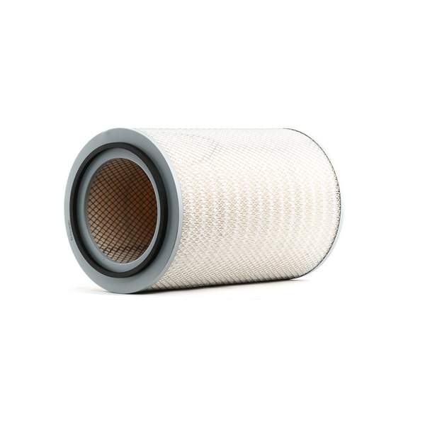 RIDEX 8A0934 luchtfilter 0694218