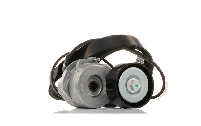 STARK SKRBS-1200328 Σετ ιμάντων poly-v Corsa C X01 1.3 CDTI 16V (F08, F68) 69 PS Πετρέλαιο 2006
