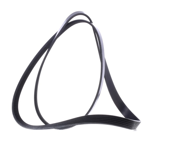 RIDEX 305P0422 Ιμάντας poly-V Insignia A G09 2.0 CDTI (68) 190 PS Πετρέλαιο 2012