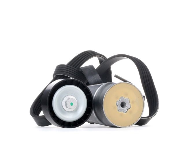 STARK SKRBS-1200342 Kit cinghia servizi Abarth 500С Cabrio 1.4 (312.AXF1A, 312.AXF11, 312.AXD1A) 140 CV Benzina 2016