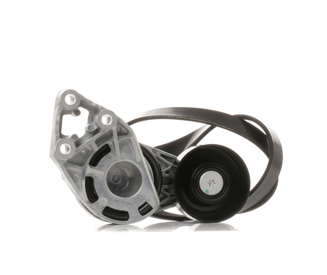 RIDEX 542R0356 poly v-riem set 045903315A
