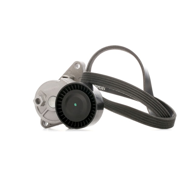 RIDEX 542R0357 Calidad y precios justos
