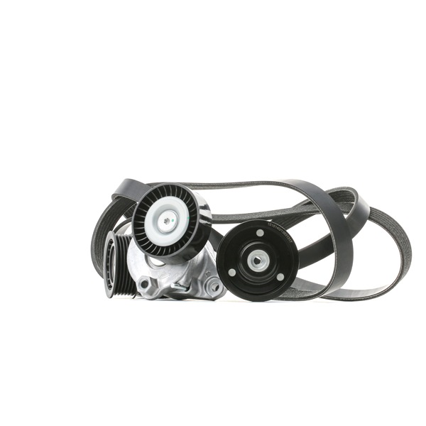 RIDEX 542R0364 Keilrippenriemensatz Mercedes S204 C 250 (204.252) 204 PS Benzin 2012