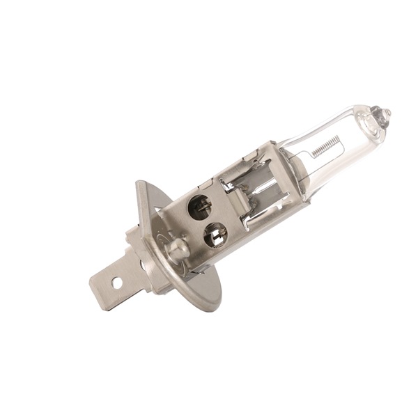 RIDEX 106B0029 2007 FIAT BRAVO Glühlampen (Glühbirnen) LED und Xenon Preis