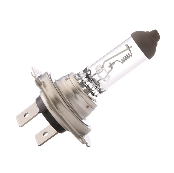 RIDEX 106B0013 oryginalne Żarówka, lampa kierunkowskazu DAF cena