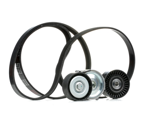 RIDEX 542R0377 Ιμάντας poly-V Ford S Max Mk1 2.2 TDCi 175 PS Πετρέλαιο 2010