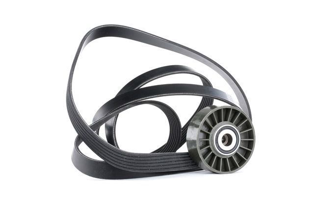 RIDEX 542R0379 Kit cinghia servizi Ssangyong Rodius 1 2.7 Xdi 165 CV Diesel 2024