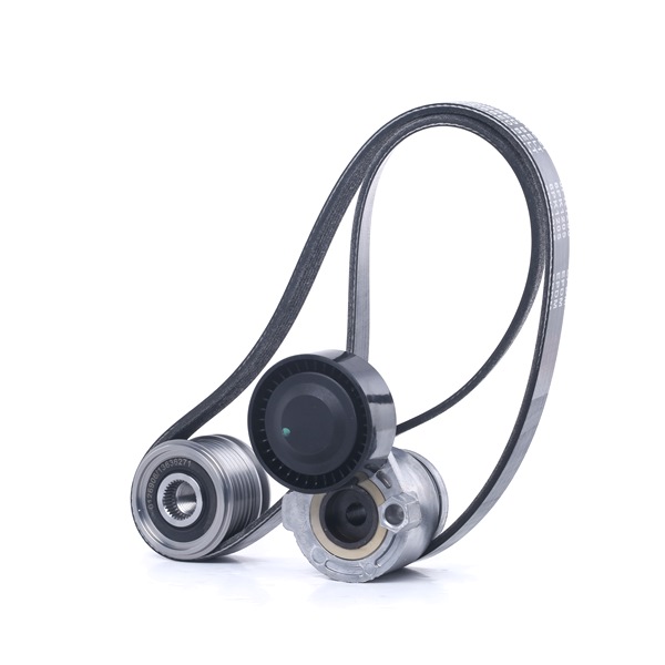 STARK SKRBS-1200382 poly v-riem set 11 72 068 43R