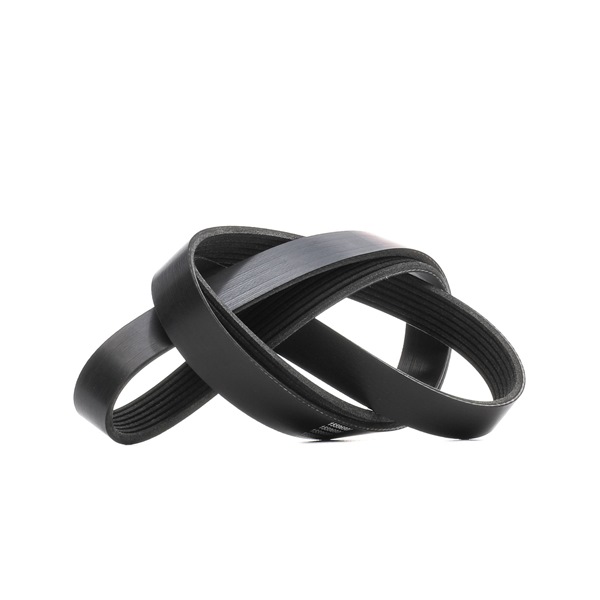 RIDEX 305P0431 multiriem MK667789