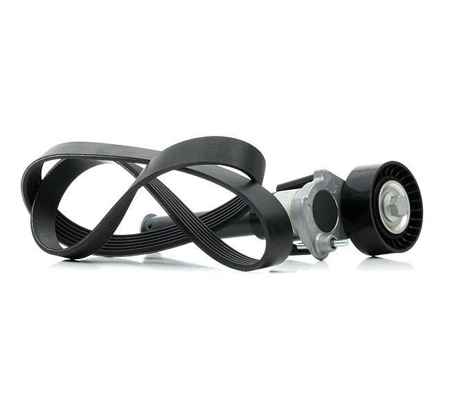 RIDEX 542R0390 Keilrippenriemensatz Passat B6 Variant 2.0 TFSI 200 PS Benzin 2009