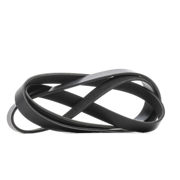 RIDEX 305P0436 multiriem A 0029935096