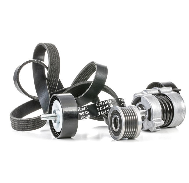RIDEX 542R0429 poly v-riem set 7 631 810