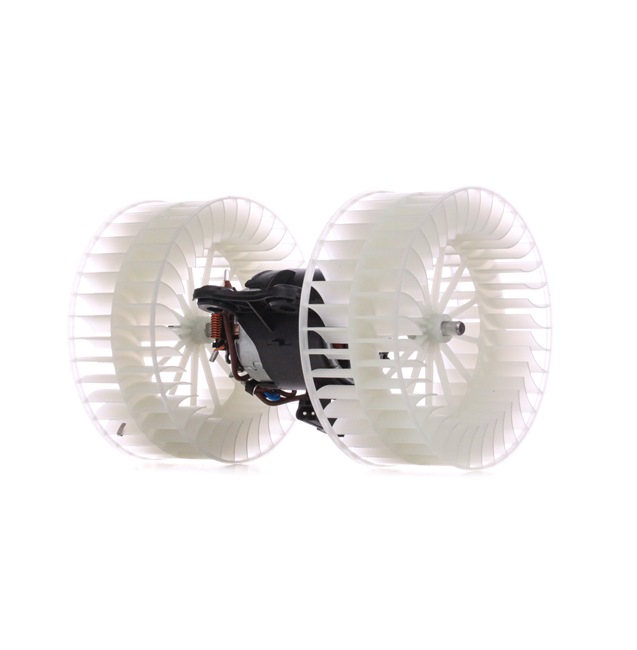 RIDEX 2669I0134 Vnútorný ventilátor MERCEDES-BENZ PAGODE 1967