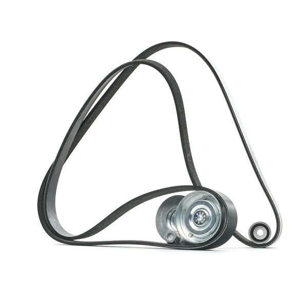 RIDEX 542R0455 A-kwaliteit en eerlijke prijzen