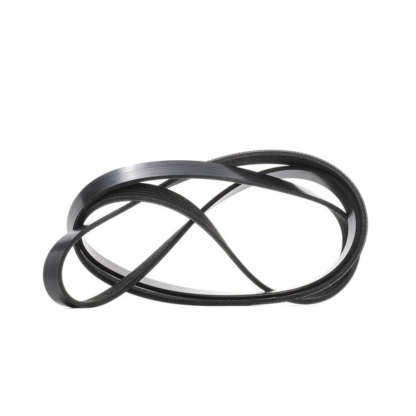 RIDEX 305P0447 multiriem 1S7Q 6C301 AB