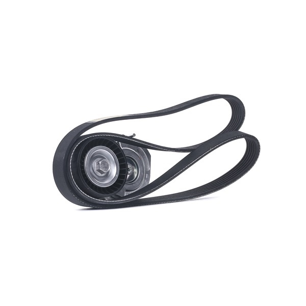 RIDEX 542R0467 A-kwaliteit en eerlijke prijzen