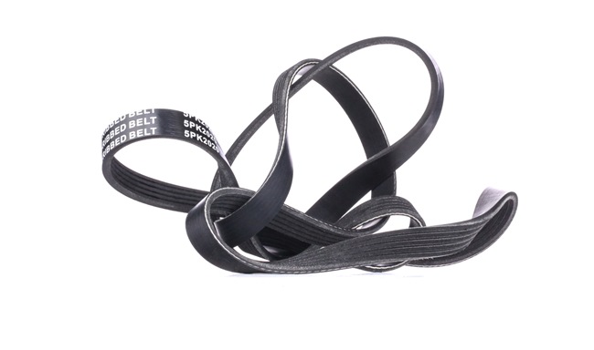 RIDEX 305P0455 V formos rumbuoti diržai Range Rover L322