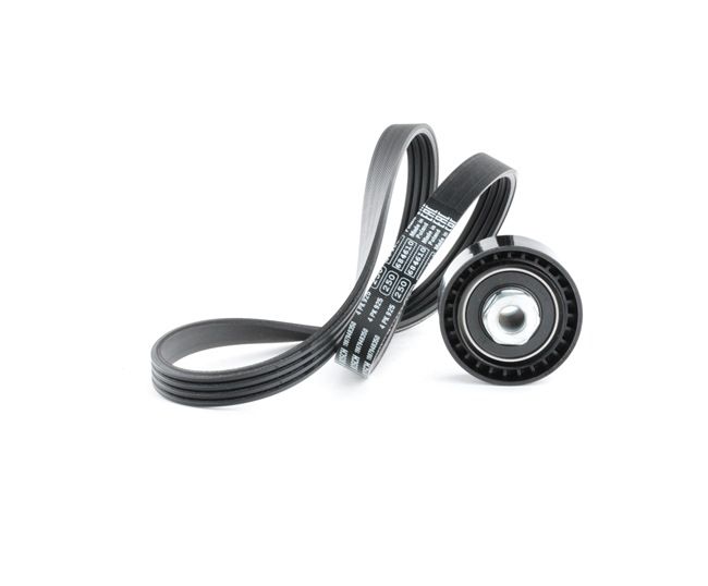 RIDEX 542R0497 Keilrippenriemensatz Renault Clio 2 1.0 54 PS Benzin 2001