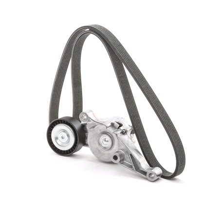 RIDEX 03G903315C Keilrippenriemensatz 542R0499