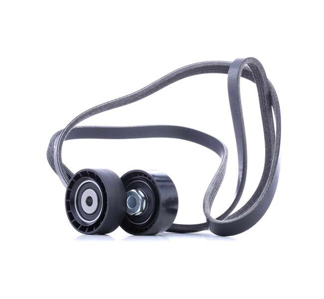 RIDEX 542R0501 Cinghia servizi Clio 2 1.0 Campus Flex (CB32, CB3B, CB3V, CB3W, BB32, BB3B,... 80 CV Benzina/Etanolo 2015