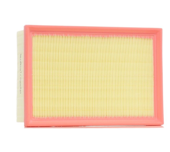 RIDEX 8A1305 Luftfilter Peugeot 307 SW original pris