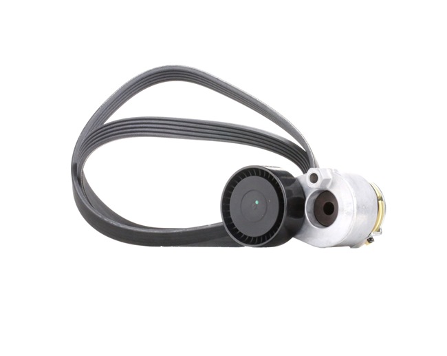 RIDEX 542R0509 Rebrasti jermen Renault Clio 2 1.4 16V 95 km Bencin 1999