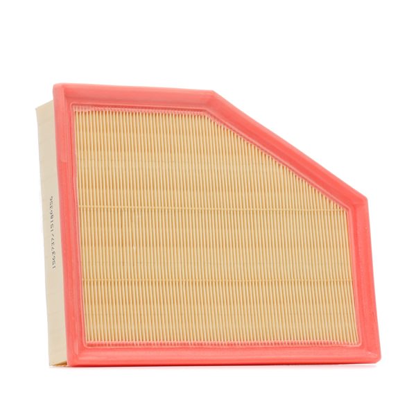 RIDEX 8A1338 Luftfilter BMW G31