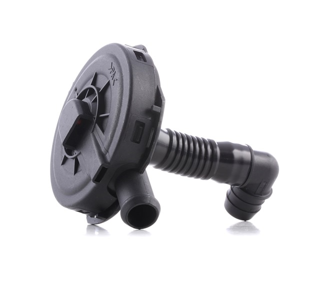 RIDEX 3886V0029 Vevhusventilation Passat 3B6 2.8 190 hk Bensin 2002