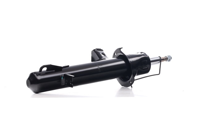 RIDEX 854S2473 2015 MINI PACEMAN Stoßdämpfer hinten und vorne Preis